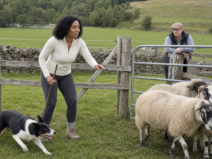 That cream top is basically holding up the entire agricultural sector