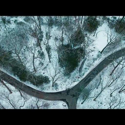 Movie Verity